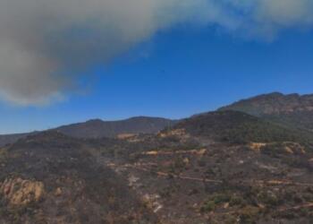 Ege alevler altında: Karşıyaka’da bir yangın daha çıktı