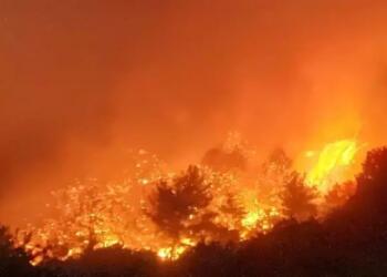 Ege’deki yangınlar hala söndürülemedi!