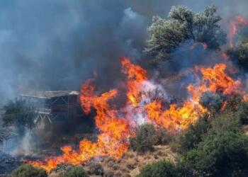 Karşıyaka yangını kontrol altına alındı