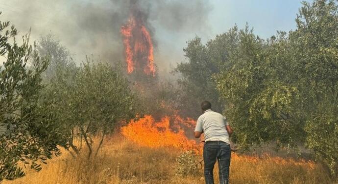 Orman yangınları sürüyor: Muğla’da bir köy boşaltıldı