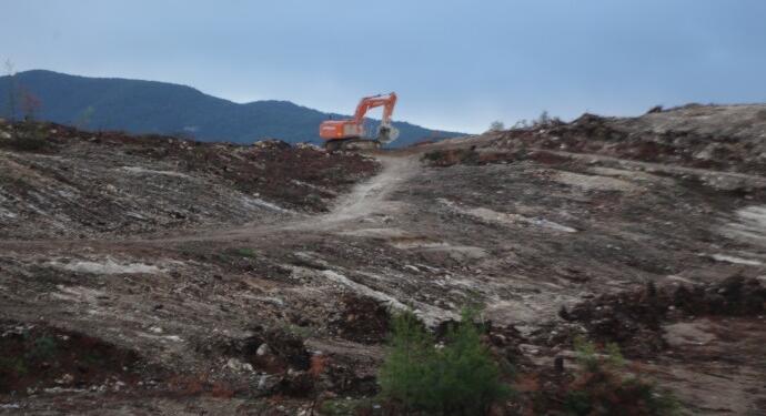 Orman yok oldu, hava kalitesi alarm veriyor!