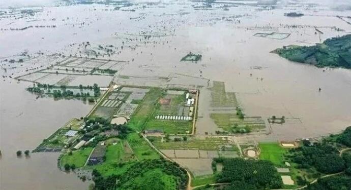 Tayland’ı muson yağmuru vurdu: 22 ölü, 19 yaralı