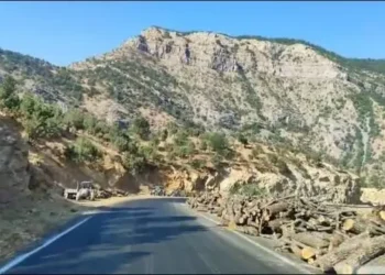 Gabar’da 480 km yağma yolu!