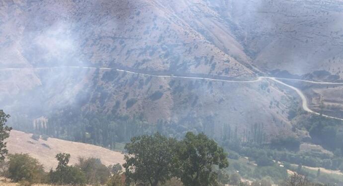 Şankuş’da çıkan yangında üzüm bağları küle döndü