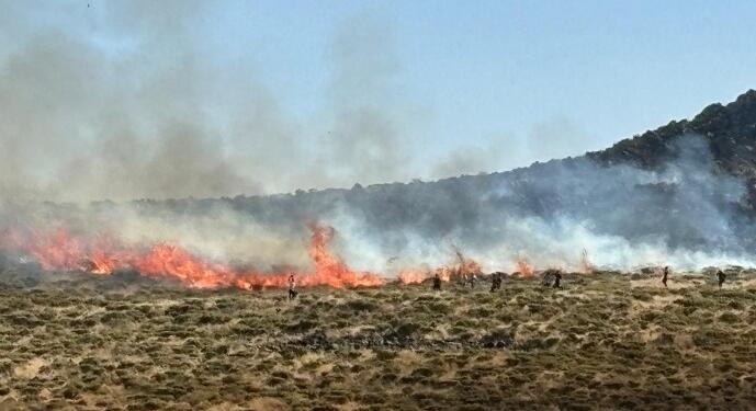 Amed Barosu’ndan yangın raporuna itiraz: Failleri aklayıcı mahiyette hazırlanmış