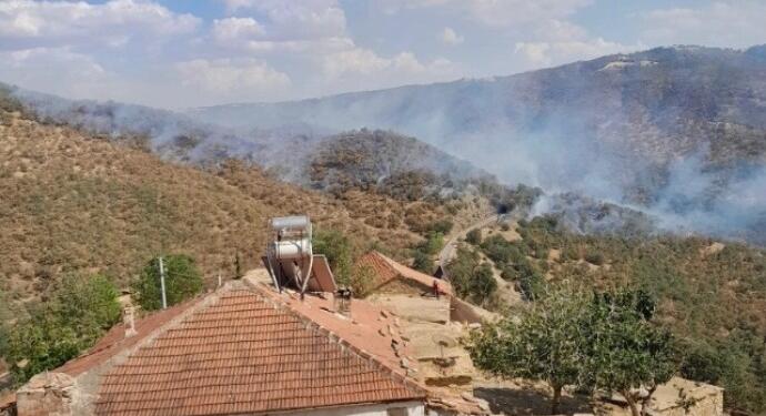 İki kentte orman yangını