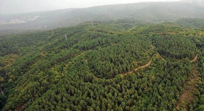 9 kentte bazı alanlar orman statüsünden çıkarıldı