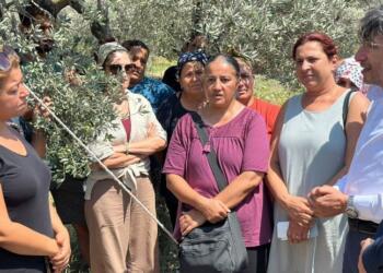 DEM Parti’den zeytin ağaçları için direnen depremzedeye ziyaret