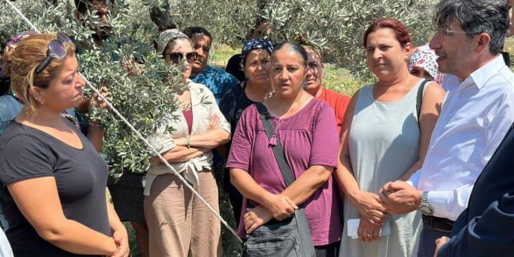 DEM Parti’den zeytin ağaçları için direnen depremzedeye ziyaret