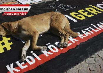 Eski dost, yeni düşman