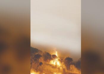 ‘Merminin bedelini biliyor musun sen?’