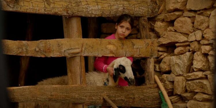 ‘Hêvî’ filmi Altın Koza’da