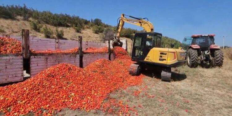Çiftçilerin arazilerini satışa çıkardılar