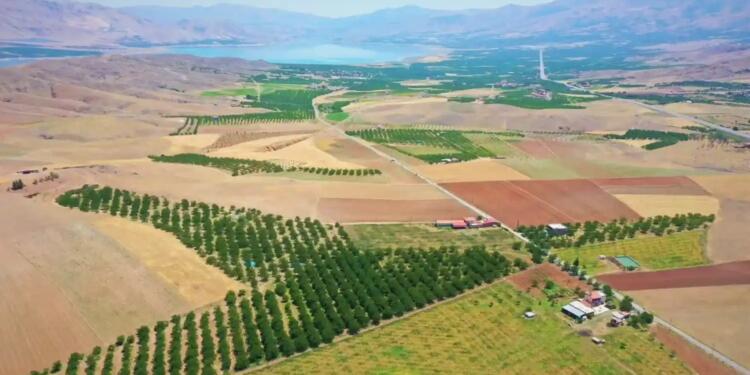 İki yıl işlenmeyen tarlaları bakanlık kiralayacak