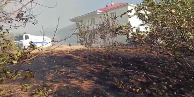 Dara Hênê’de çıkan yangın söndürüldü