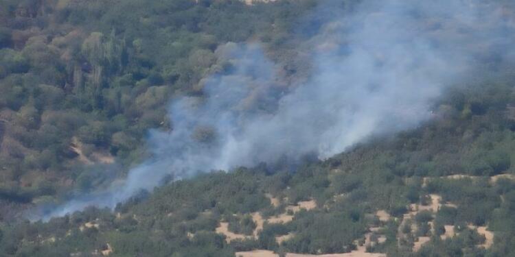 Amêdiyê’de ormanlık alanlar iki gündür yanıyor