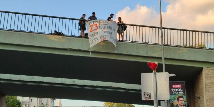 ‘Hayvan katliamı yasasını’ protesto eden SKM’lilere para cezası