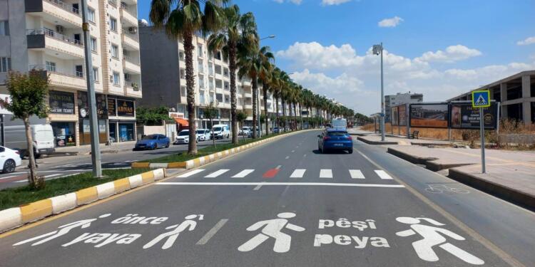 Saadet Partili Kaya: Kürt meselesindeki kısır döngü ülkeye kaybettiriyor