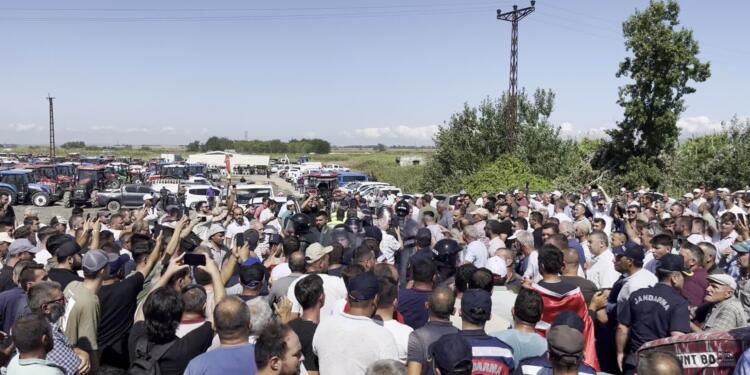 Domates üreticileri eylemde: Hükümet istifa