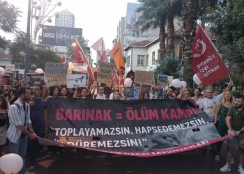 Köpek katliamına karşı tepkiler sokağa taştı