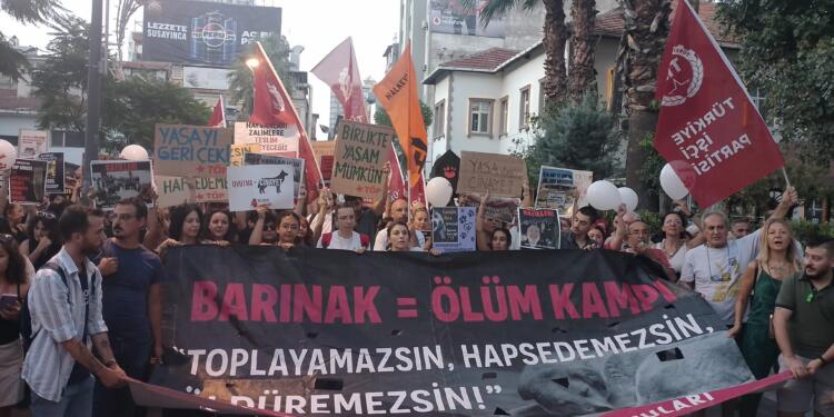 Köpek katliamına karşı tepkiler sokağa taştı