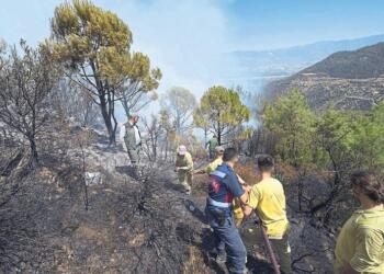 Manisa ve Aydın yangınları kontrol altına alındı