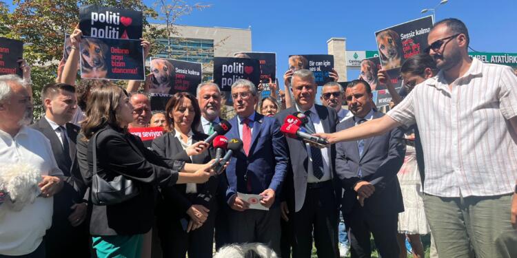 CHP ‘hayvan katliamı’ yasasını AYM’ye taşıdı