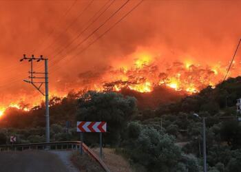 Yangından bölgesinde hasar tespit çalışması