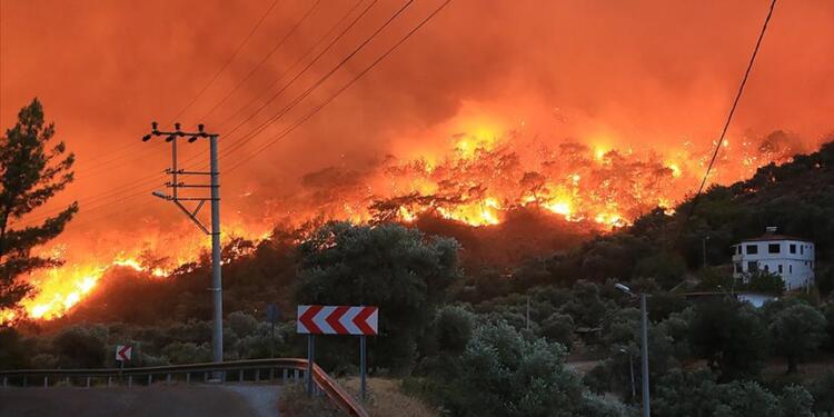 Yangından bölgesinde hasar tespit çalışması