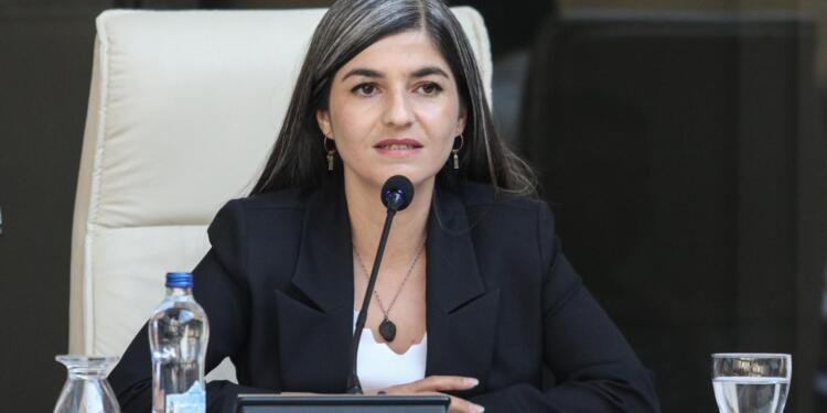 Wan Gölü toplantısına DEM Partili belediyeler çağırılmadı