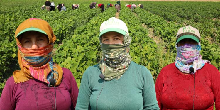 Zor koşullarda çalışan tarım işçisi kadınlar: Başka seçeneğimiz yok