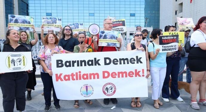 ‘Mansur Yavaş köpek düşmanlığına devam ediyor’