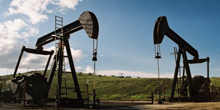 TPAO Gêl’de halkın malına çökecek