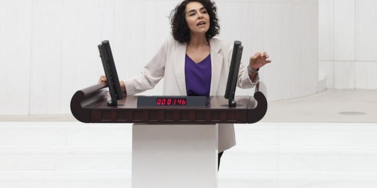 Colemêrg’de yaşananlar Meclis gündeminde