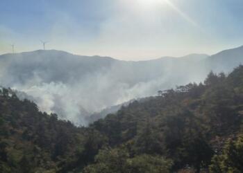 Hatay’da orman yangını