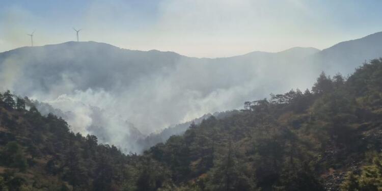 Hatay’da orman yangını