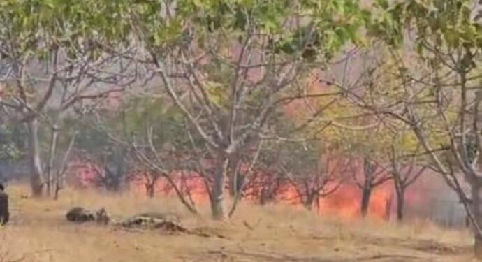 Erdek’teki yangında 400 dönüm arazi zarar gördü