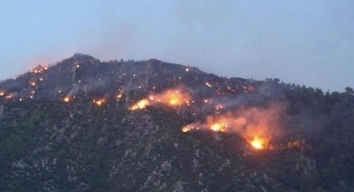 Ege’de 3 kentte orman yangını