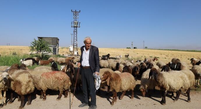 Yayla yasakları hayvancılığı bitirme noktasına getirdi