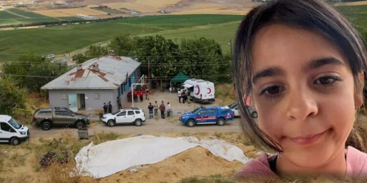 Narin’in ardından Çulî’nin kirli geçmişi: 20’sini tutuklasalar 70’i dışarda kalacak