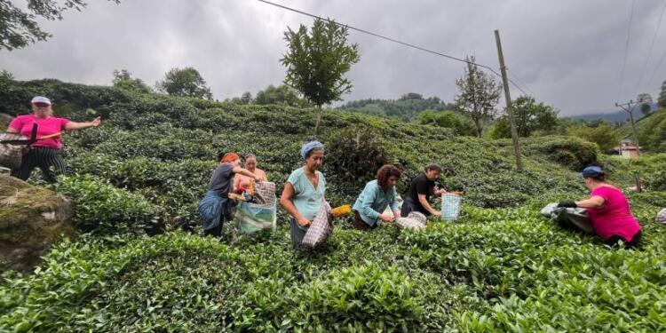 DEM Parti Kadın Meclisi çay toplayan kadınlara buluştu