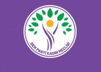 DEM Parti Kadın Meclisi’den hedef alınan gazeteci için açıklama