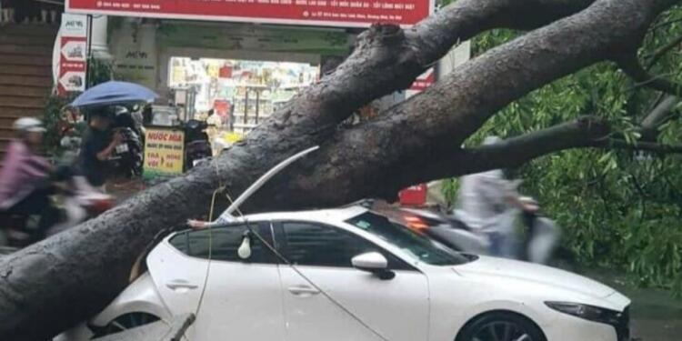 Vietnam’daki tayfunda 9 kişi hayatını kaybetti