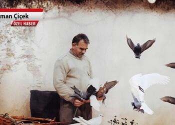 ÖHD Eş Genel Başkanı Yeter: Tecridi herkese anlatacağız