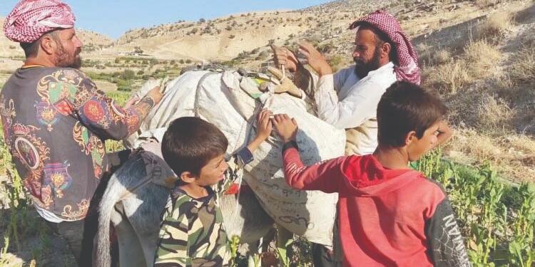 Êzidî halkının sığınağı: Kersê Vadisi