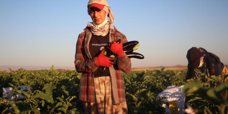 Tarım işçiliği yaparak okuyor: Çözüm kaçmakta değil, mücadele etmekte