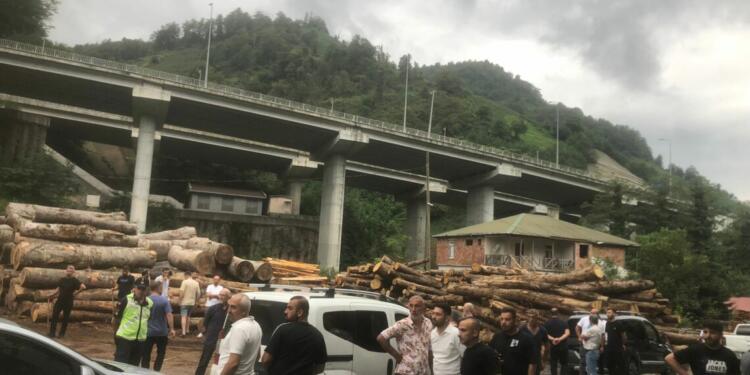 Hopalılar kereste atölyelerinin çalışmasını durdurdu