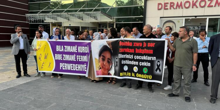 ‘Kürtlerin temel talebi anadilde eğitimdir’