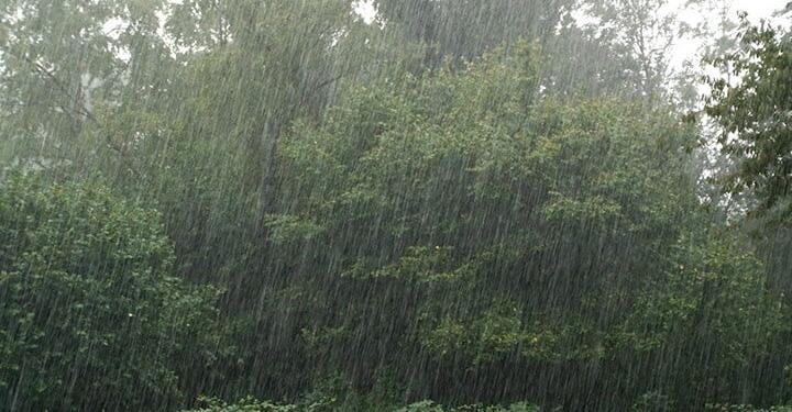 Karadeniz Bölgesi’nde sağanak bekleniyor