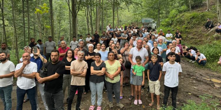 Hopa’da Lokumcu, Kibar ve Güran için fidan dikildi